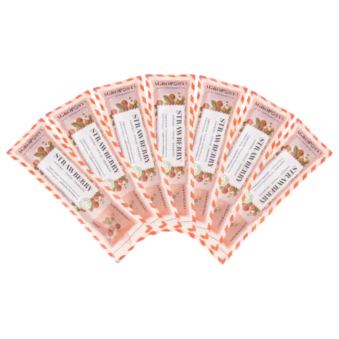 50 Sachets Bio-Erdbeersirup kaufen — Bio Sirup handgemacht