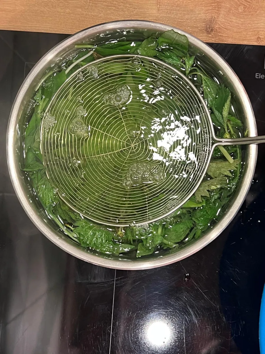 Blanching nettle and wild garlic