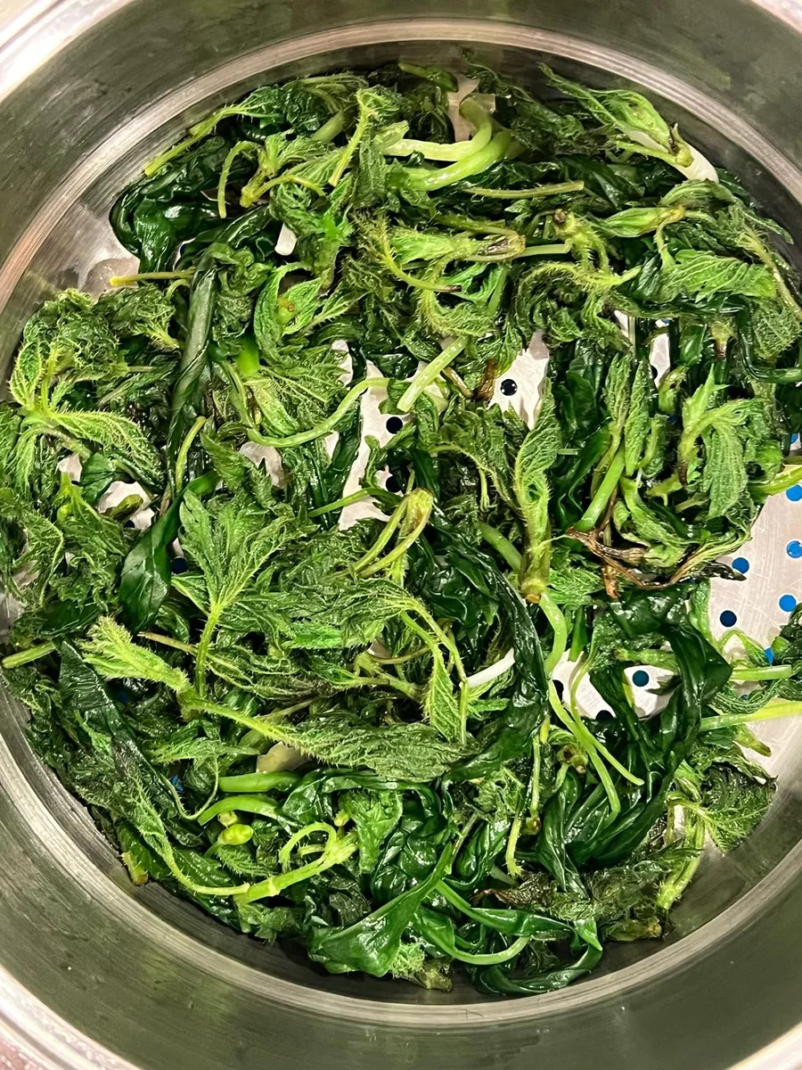 Adding nettle to the dough