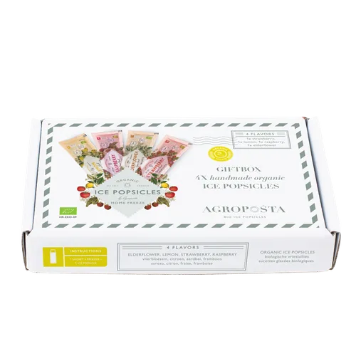 Popsicle ice pop Gift box — 4 sachets — organic handmade syrup