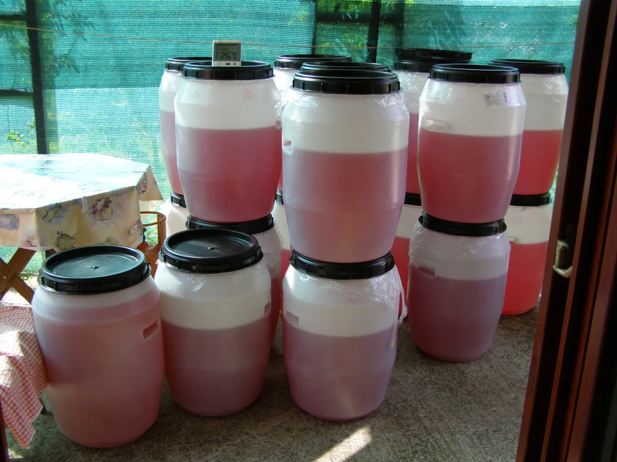 First sage batch